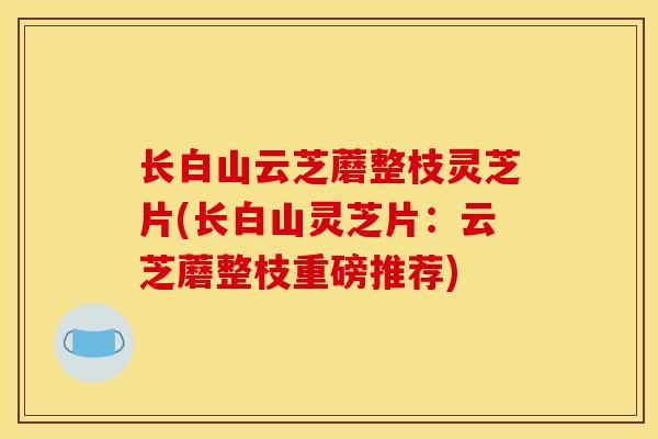 长白山云芝蘑整枝灵芝片(长白山灵芝片:云芝蘑整枝重磅推荐) 长白山云芝蘑整枝灵芝片(长白山灵芝片:云芝蘑整枝重磅推荐)