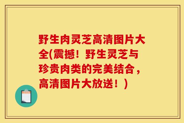 野生肉灵芝高清图片大全(震撼!野生灵芝与珍贵肉类的完美结合,高清图片大放送!) 野生肉灵芝高清图片大全(震撼!野生灵芝与珍贵肉类的完美结合,高清图片大放送!)