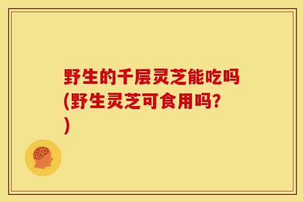 野生的千层灵芝能吃吗(野生灵芝可食用吗?) 野生的千层灵芝能吃吗(野生灵芝可食用吗?)