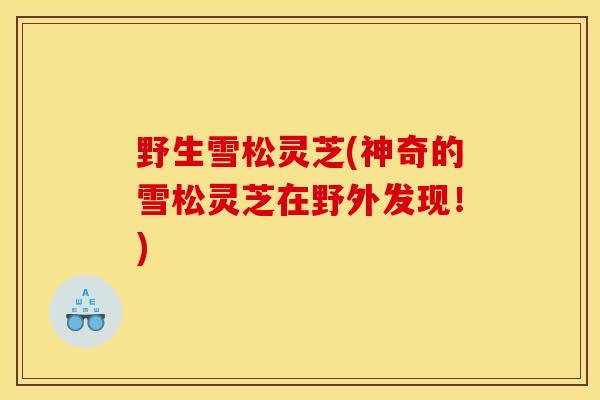 野生雪松灵芝(神奇的雪松灵芝在野外发现!) 野生雪松灵芝(神奇的雪松灵芝在野外发现!)