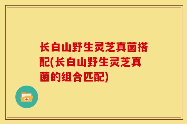 长白山野生灵芝真菌搭配(长白山野生灵芝真菌的组合匹配) 长白山野生灵芝真菌搭配(长白山野生灵芝真菌的组合匹配)