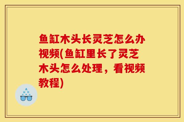 鱼缸木头长灵芝怎么办视频(鱼缸里长了灵芝木头怎么处理,看视频教程) 鱼缸木头长灵芝怎么办视频(鱼缸里长了灵芝木头怎么处理,看视频教程)