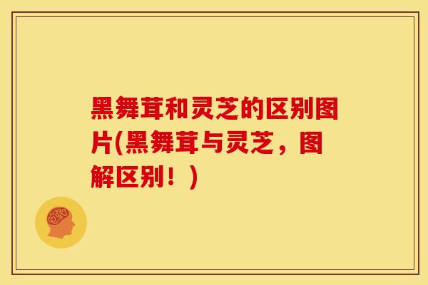 黑舞茸和灵芝的区别图片(黑舞茸与灵芝，图解区别！)