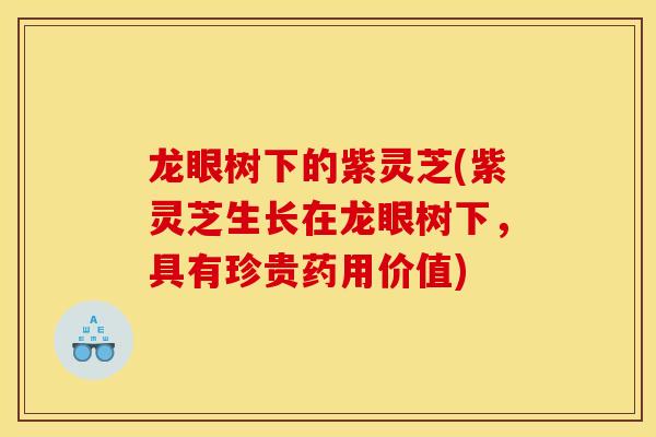 龙眼树下的紫灵芝(紫灵芝生长在龙眼树下,具有珍贵药用价值) 龙眼树下的紫灵芝(紫灵芝生长在龙眼树下,具有珍贵药用价值)