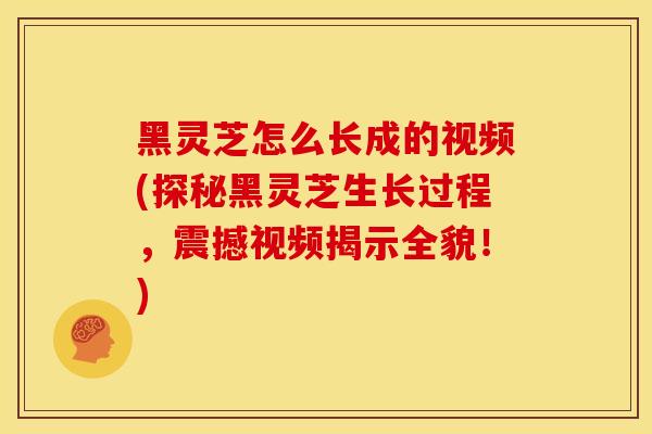 黑灵芝怎么长成的视频(探秘黑灵芝生长过程,震撼视频揭示全貌!) 黑灵芝怎么长成的视频(探秘黑灵芝生长过程,震撼视频揭示全貌!)
