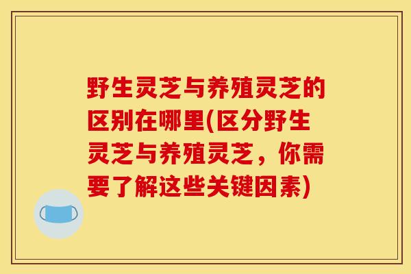 野生灵芝与养殖灵芝的区别在哪里(区分野生灵芝与养殖灵芝,你需要了解这些关键因素) 野生灵芝与养殖灵芝的区别在哪里(区分野生灵芝与养殖灵芝,你需要了解这些关键因素)