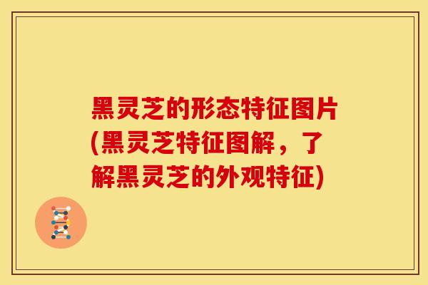 黑灵芝的形态特征图片(黑灵芝特征图解,了解黑灵芝的外观特征) 黑灵芝的形态特征图片(黑灵芝特征图解,了解黑灵芝的外观特征)