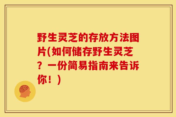 野生灵芝的存放方法图片(如何储存野生灵芝?一份简易指南来告诉你!) 野生灵芝的存放方法图片(如何储存野生灵芝?一份简易指南来告诉你!)