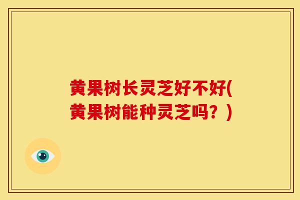 黄果树长灵芝好不好(黄果树能种灵芝吗？)