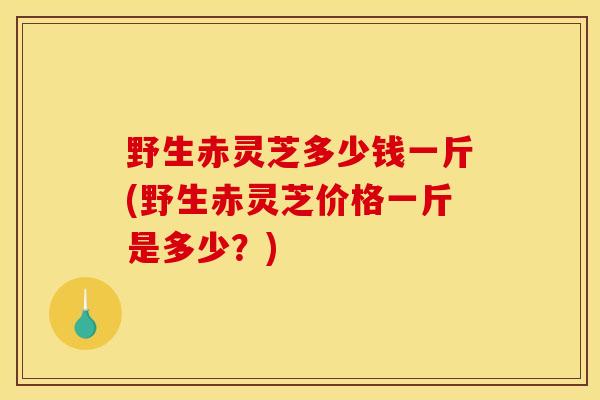 野生赤灵芝多少钱一斤(野生赤灵芝价格一斤是多少?) 野生赤灵芝多少钱一斤(野生赤灵芝价格一斤是多少?)