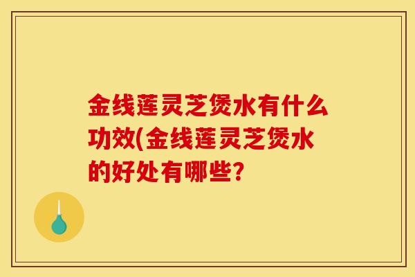 金线莲灵芝煲水有什么功效(金线莲灵芝煲水的好处有哪些? 金线莲灵芝煲水有什么功效(金线莲灵芝煲水的好处有哪些?