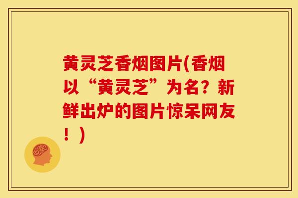 黄灵芝香烟图片(香烟以“黄灵芝”为名?新鲜出炉的图片惊呆网友!) 黄灵芝香烟图片(香烟以“黄灵芝”为名?新鲜出炉的图片惊呆网友!)