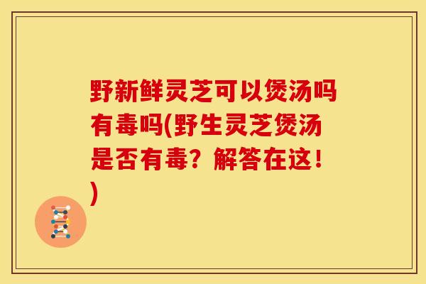 野新鲜灵芝可以煲汤吗有毒吗(野生灵芝煲汤是否有毒?解答在这!) 野新鲜灵芝可以煲汤吗有毒吗(野生灵芝煲汤是否有毒?解答在这!)