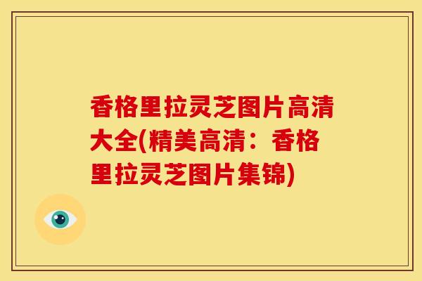 香格里拉灵芝图片高清大全(精美高清:香格里拉灵芝图片集锦) 香格里拉灵芝图片高清大全(精美高清:香格里拉灵芝图片集锦)