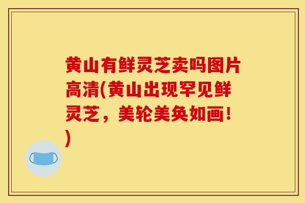 黄山有鲜灵芝卖吗图片高清(黄山出现罕见鲜灵芝，美轮美奂如画！)