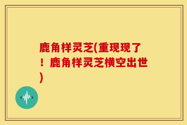鹿角样灵芝(重现现了!鹿角样灵芝横空出世) 鹿角样灵芝(重现现了!鹿角样灵芝横空出世)