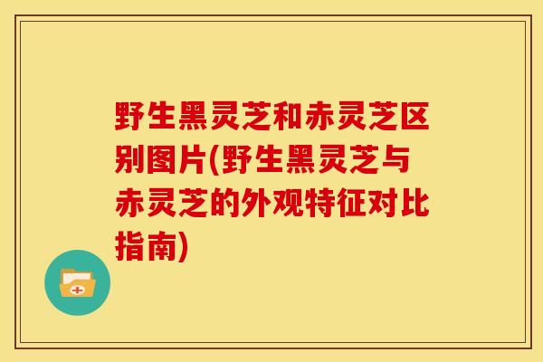 野生黑灵芝和赤灵芝区别图片(野生黑灵芝与赤灵芝的外观特征对比指南)