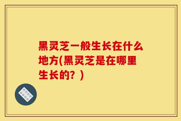 黑灵芝一般生长在什么地方(黑灵芝是在哪里生长的?) 黑灵芝一般生长在什么地方(黑灵芝是在哪里生长的?)