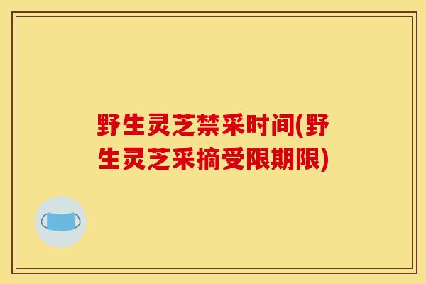 野生灵芝禁采时间(野生灵芝采摘受限期限)