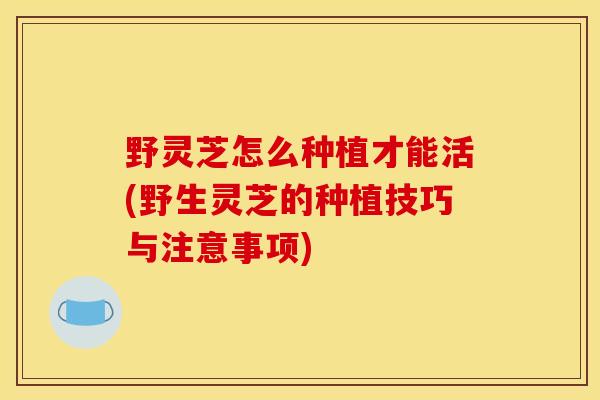 野灵芝怎么种植才能活(野生灵芝的种植技巧与注意事项) 野灵芝怎么种植才能活(野生灵芝的种植技巧与注意事项)