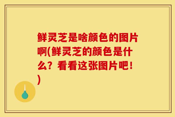 鲜灵芝是啥颜色的图片啊(鲜灵芝的颜色是什么?看看这张图片吧!) 鲜灵芝是啥颜色的图片啊(鲜灵芝的颜色是什么?看看这张图片吧!)