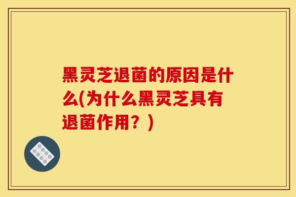 黑灵芝退菌的原因是什么(为什么黑灵芝具有退菌作用?) 黑灵芝退菌的原因是什么(为什么黑灵芝具有退菌作用?)