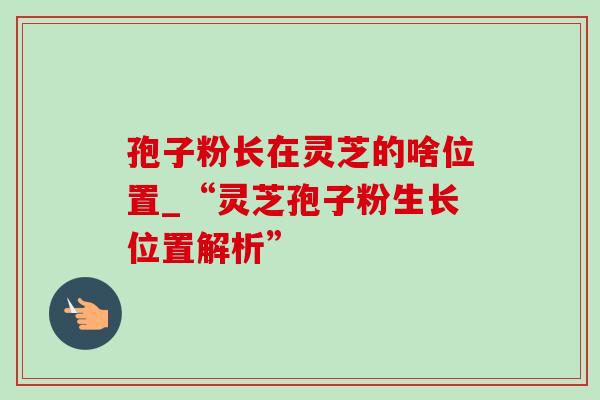 孢子粉长在灵芝的啥位置_“灵芝孢子粉生长位置解析” 孢子粉长在灵芝的啥位置_“灵芝孢子粉生长位置解析”