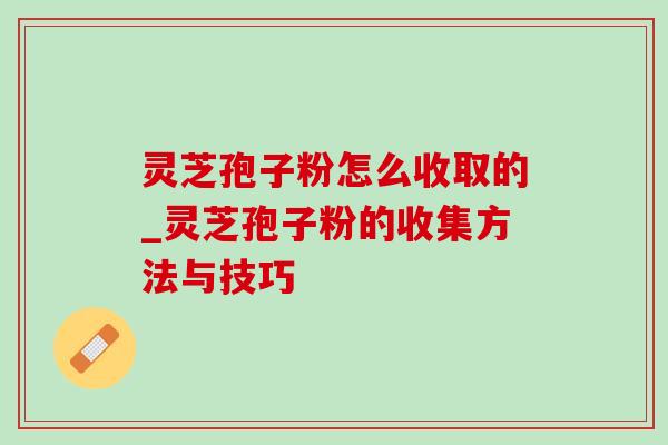 灵芝孢子粉怎么收取的_灵芝孢子粉的收集方法与技巧 灵芝孢子粉怎么收取的_灵芝孢子粉的收集方法与技巧