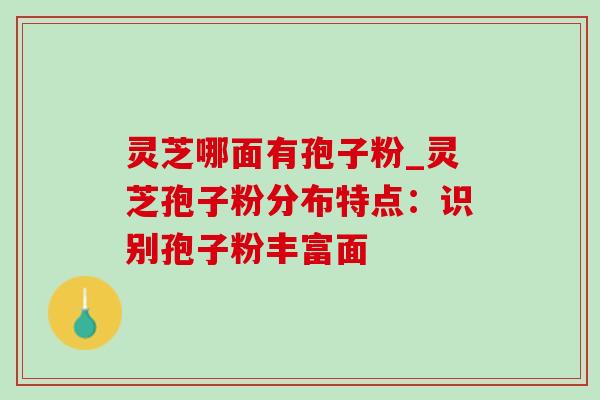 灵芝哪面有孢子粉_灵芝孢子粉分布特点:识别孢子粉丰富面 灵芝哪面有孢子粉_灵芝孢子粉分布特点:识别孢子粉丰富面