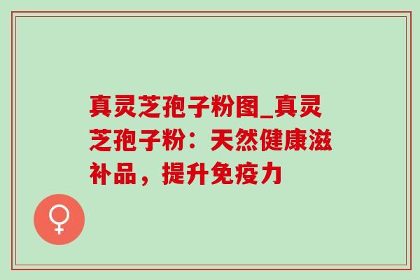真灵芝孢子粉图_真灵芝孢子粉:天然健康滋补品,提升免疫力 真灵芝孢子粉图_真灵芝孢子粉:天然健康滋补品,提升免疫力
