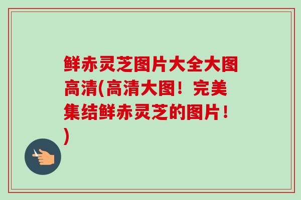 鲜赤灵芝图片大全大图高清(高清大图!完美集结鲜赤灵芝的图片!) 鲜赤灵芝图片大全大图高清(高清大图!完美集结鲜赤灵芝的图片!)