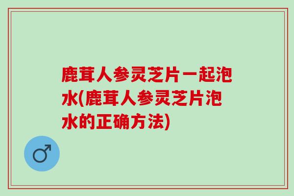 鹿茸人参灵芝片一起泡水(鹿茸人参灵芝片泡水的正确方法) 鹿茸人参灵芝片一起泡水(鹿茸人参灵芝片泡水的正确方法)