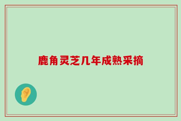 鹿角灵芝几年成熟采摘 鹿角灵芝几年成熟采摘