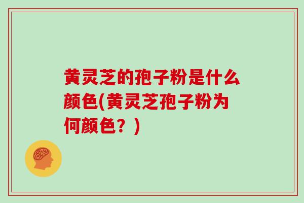 黄灵芝的孢子粉是什么颜色(黄灵芝孢子粉为何颜色？)