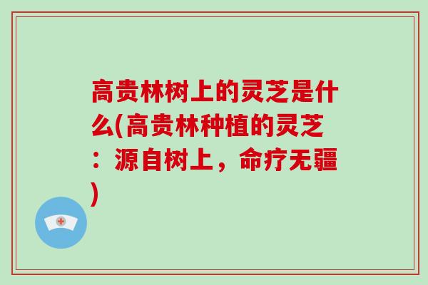 高贵林树上的灵芝是什么(高贵林种植的灵芝:源自树上,命疗无疆) 高贵林树上的灵芝是什么(高贵林种植的灵芝:源自树上,命疗无疆)