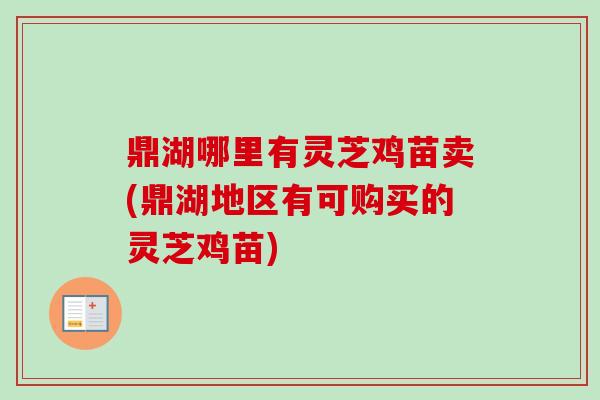 鼎湖哪里有灵芝鸡苗卖(鼎湖地区有可购买的灵芝鸡苗) 鼎湖哪里有灵芝鸡苗卖(鼎湖地区有可购买的灵芝鸡苗)