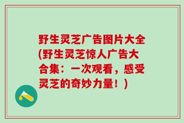 野生灵芝广告图片大全(野生灵芝惊人广告大合集:一次观看,感受灵芝的奇妙力量!) 野生灵芝广告图片大全(野生灵芝惊人广告大合集:一次观看,感受灵芝的奇妙力量!)
