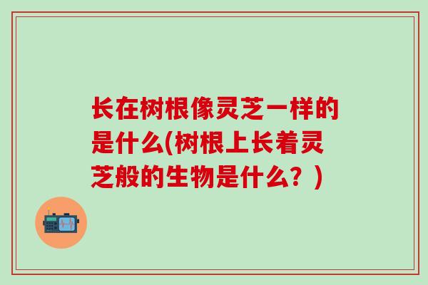 长在树根像灵芝一样的是什么(树根上长着灵芝般的生物是什么?) 长在树根像灵芝一样的是什么(树根上长着灵芝般的生物是什么?)