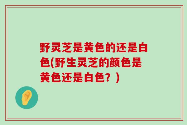 野灵芝是黄色的还是白色(野生灵芝的颜色是黄色还是白色?) 野灵芝是黄色的还是白色(野生灵芝的颜色是黄色还是白色?)