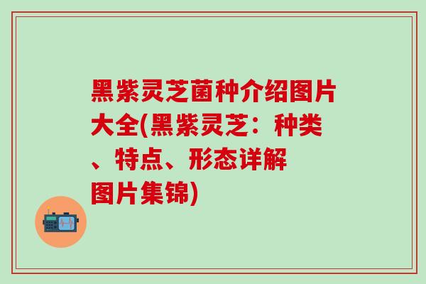 黑紫灵芝菌种介绍图片大全(黑紫灵芝：种类、特点、形态详解  图片集锦)
