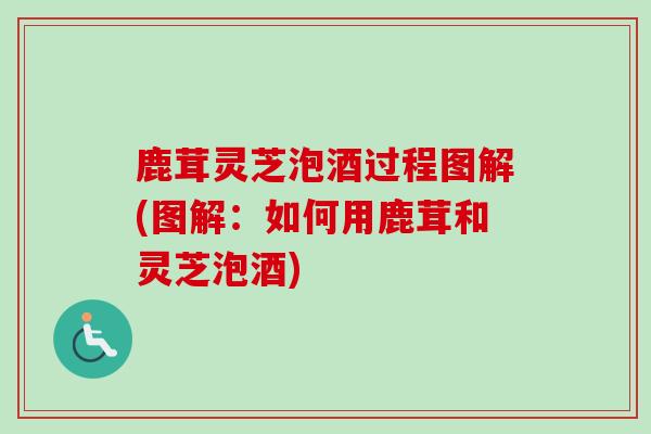 鹿茸灵芝泡酒过程图解(图解：如何用鹿茸和灵芝泡酒)