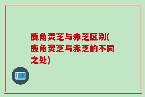 鹿角灵芝与赤芝区别(鹿角灵芝与赤芝的不同之处) 鹿角灵芝与赤芝区别(鹿角灵芝与赤芝的不同之处)