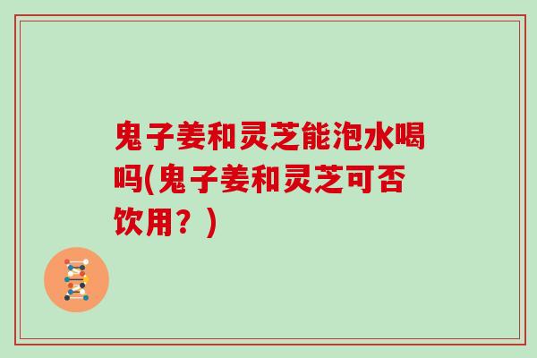 鬼子姜和灵芝能泡水喝吗(鬼子姜和灵芝可否饮用?) 鬼子姜和灵芝能泡水喝吗(鬼子姜和灵芝可否饮用?)
