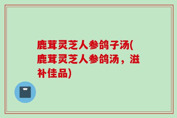 鹿茸灵芝人参鸽子汤(鹿茸灵芝人参鸽汤,滋补佳品) 鹿茸灵芝人参鸽子汤(鹿茸灵芝人参鸽汤,滋补佳品)