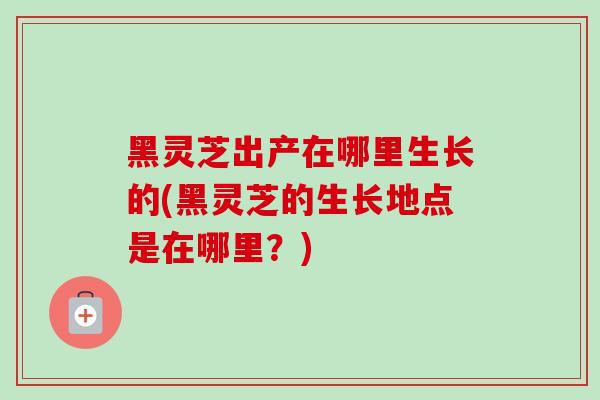 黑灵芝出产在哪里生长的(黑灵芝的生长地点是在哪里？)
