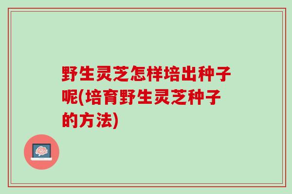 野生灵芝怎样培出种子呢(培育野生灵芝种子的方法) 野生灵芝怎样培出种子呢(培育野生灵芝种子的方法)