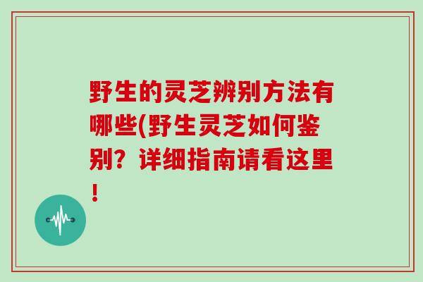 野生的灵芝辨别方法有哪些(野生灵芝如何鉴别?详细指南请看这里! 野生的灵芝辨别方法有哪些(野生灵芝如何鉴别?详细指南请看这里!