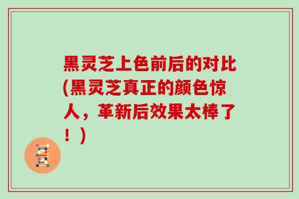 黑灵芝上色前后的对比(黑灵芝真正的颜色惊人，革新后效果太棒了！)