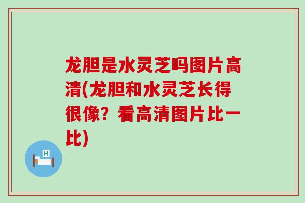 龙胆是水灵芝吗图片高清(龙胆和水灵芝长得很像?看高清图片比一比) 龙胆是水灵芝吗图片高清(龙胆和水灵芝长得很像?看高清图片比一比)