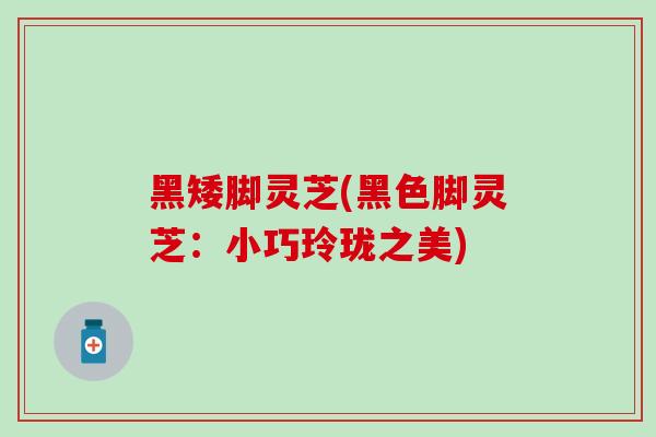 黑矮脚灵芝(黑色脚灵芝:小巧玲珑之美) 黑矮脚灵芝(黑色脚灵芝:小巧玲珑之美)